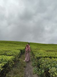 Solok teh fields